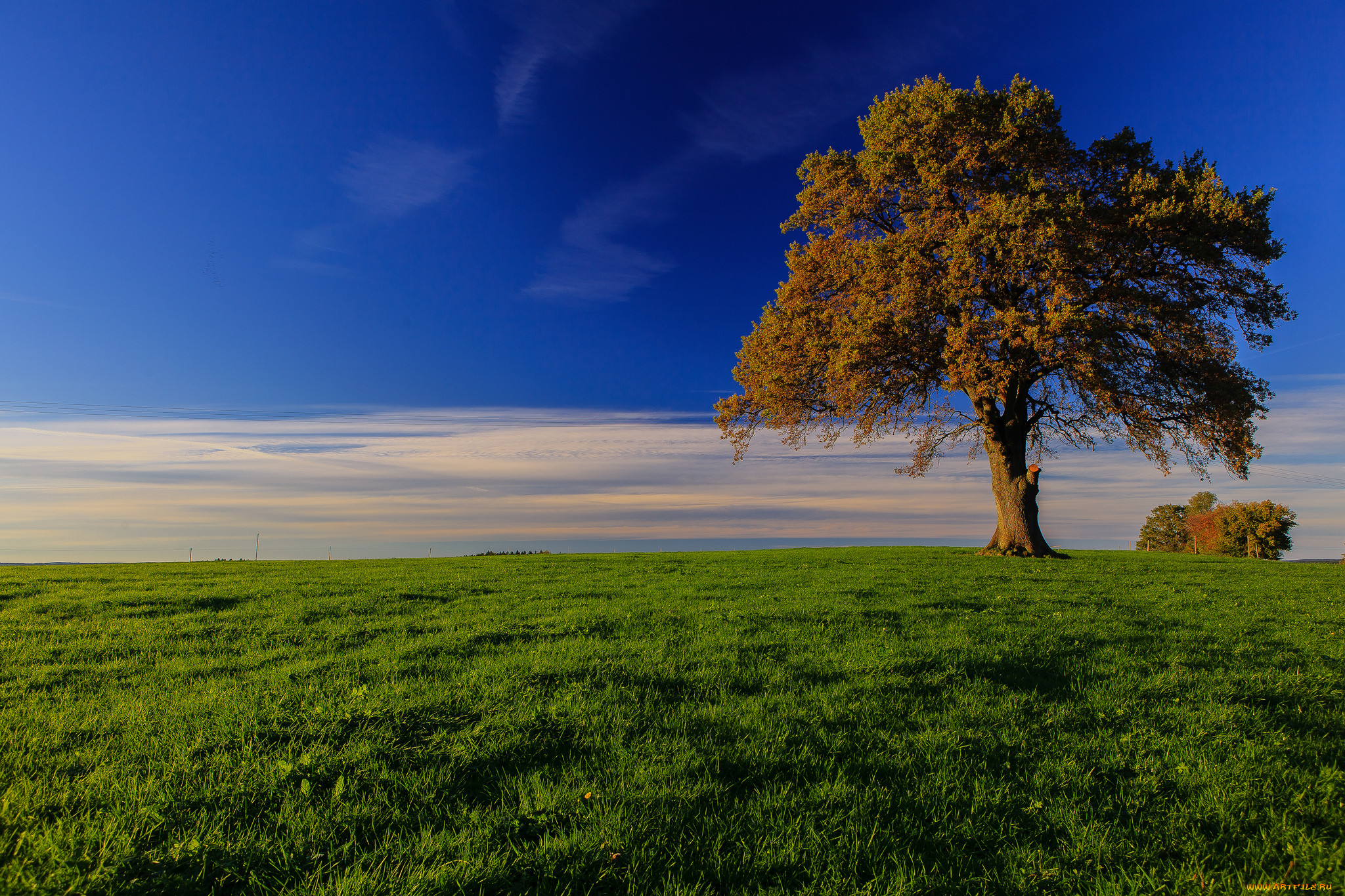 bavaria, germany, , , , , , , 